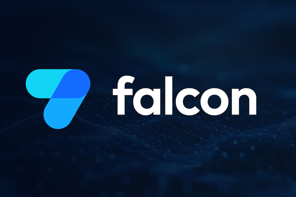 BUSINESS SUPPORT SYSTEM